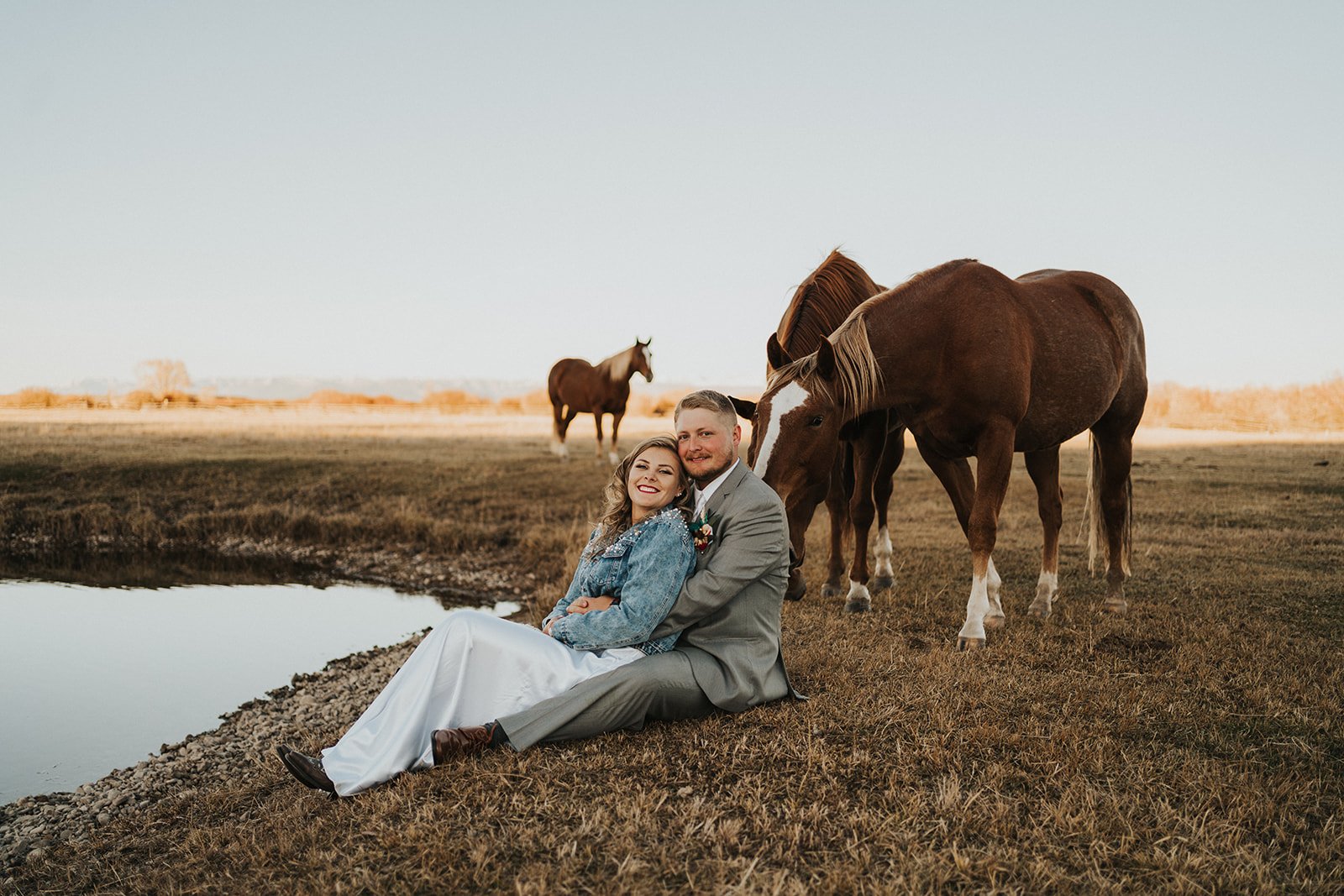 horses.JPG