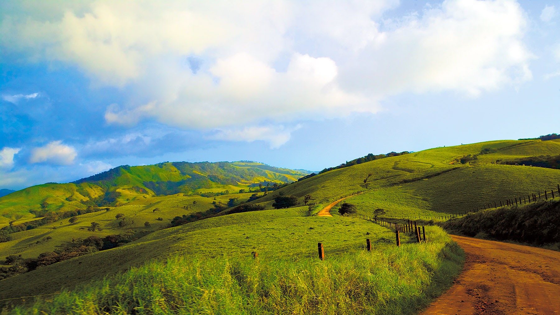 Road To Monteverde, Costa Rica