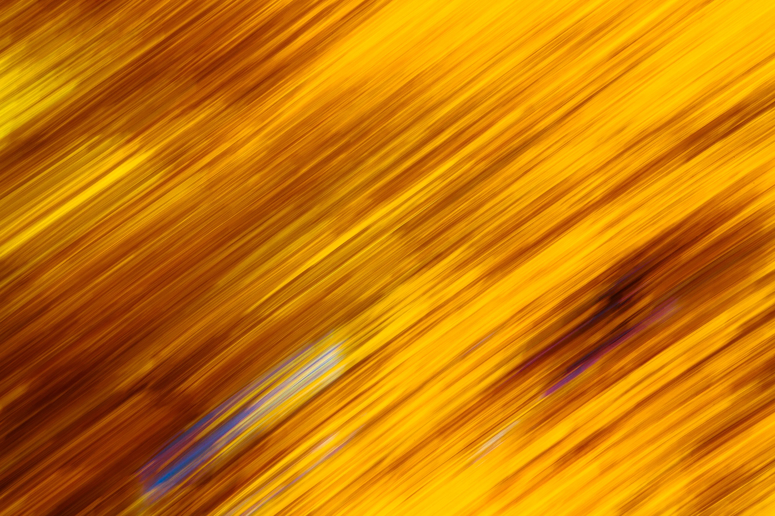 Autumn Leaves 1