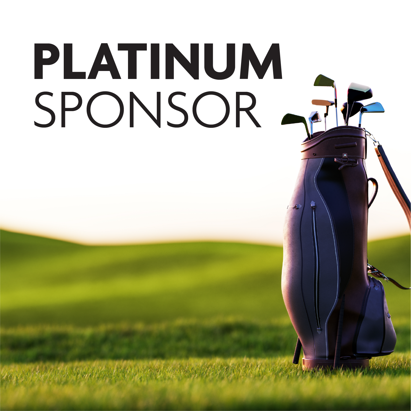 PLATINUM SPONSOR