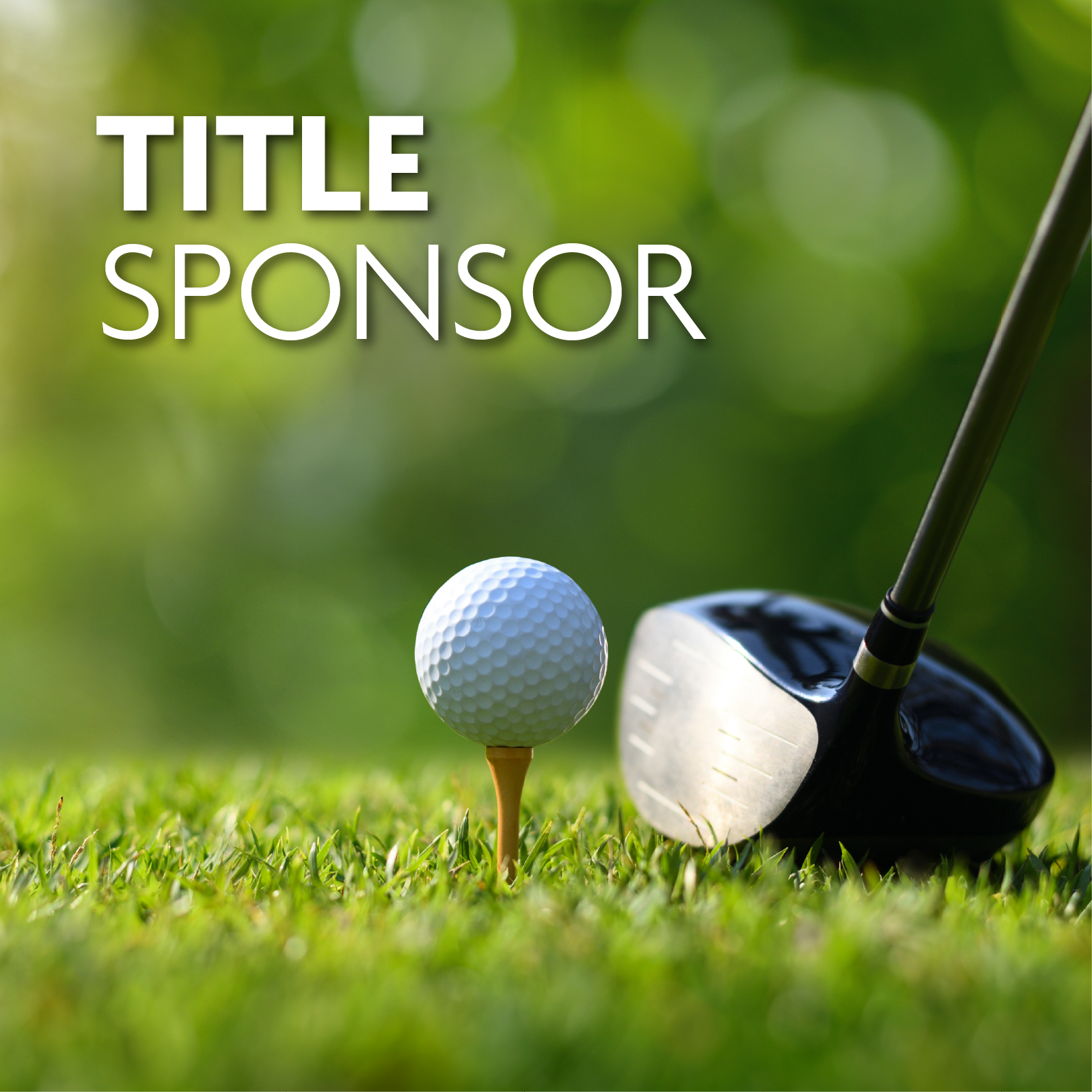 TITLE SPONSOR