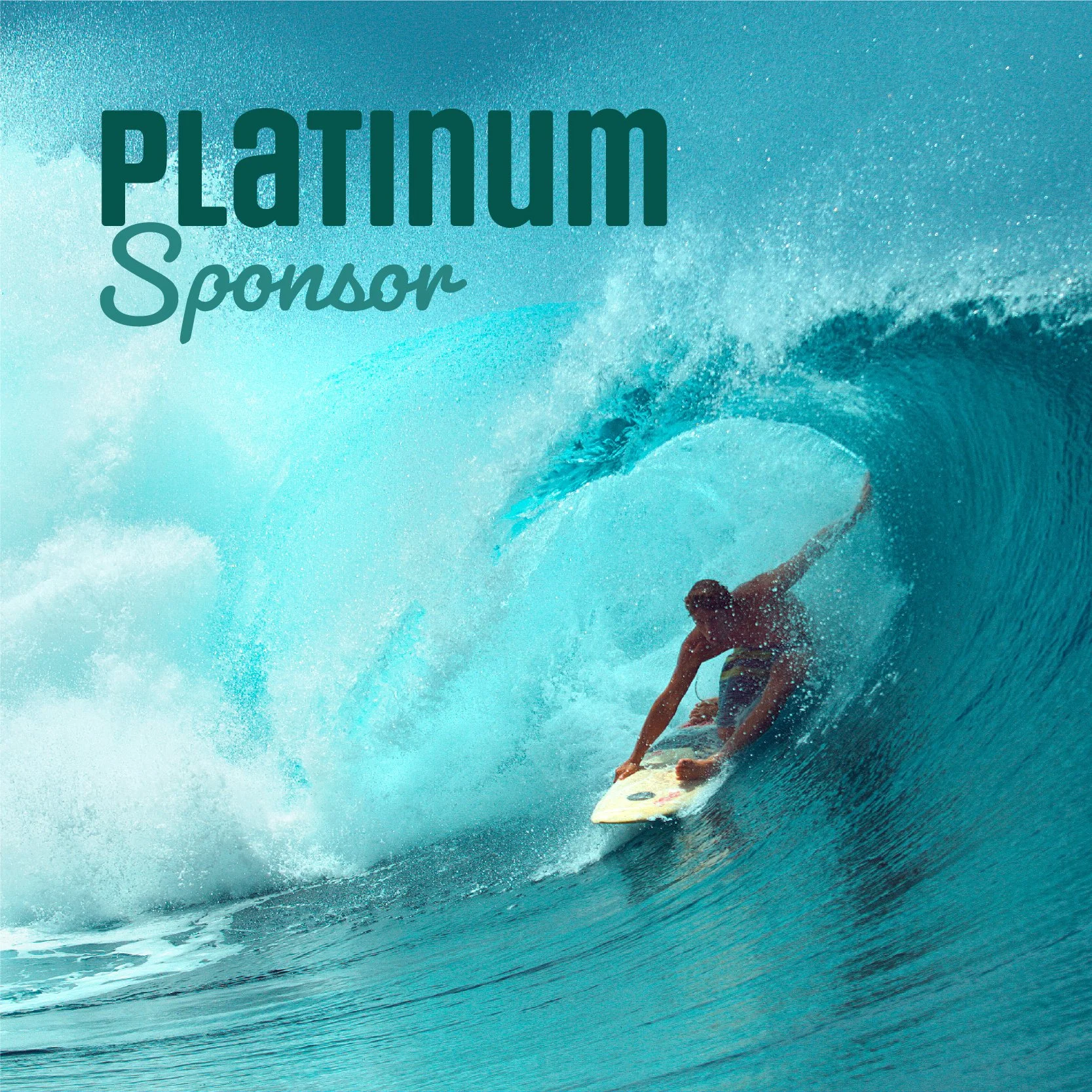 PLATINUM SPONSOR