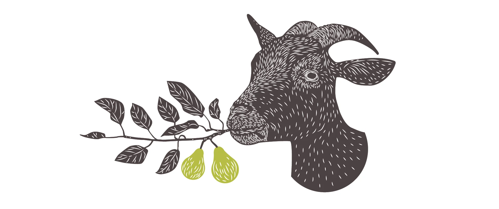 Label Exploration for Manoir du Parc Cider