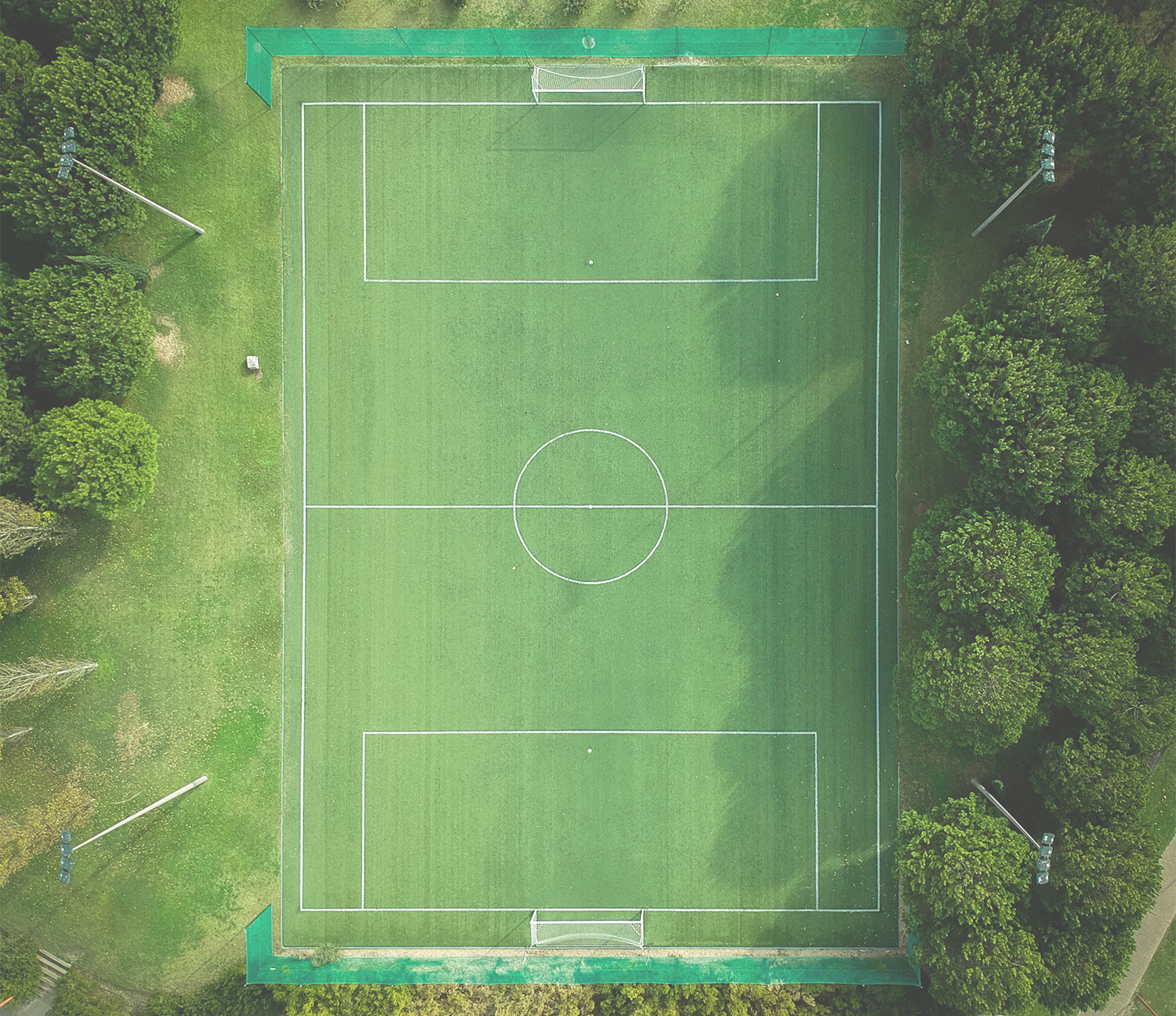 Field_cropped_75.png