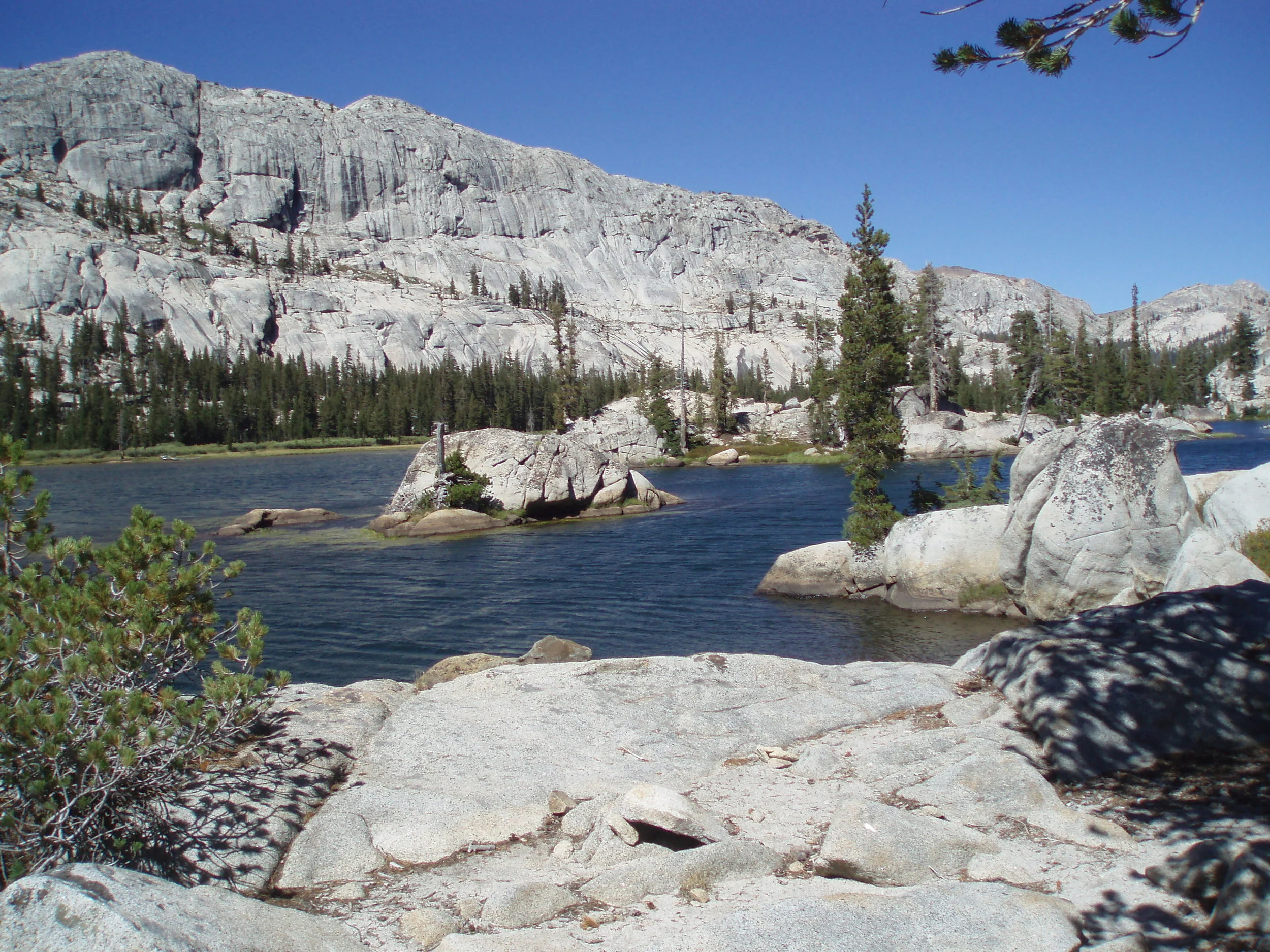 buck -- looking north.JPG