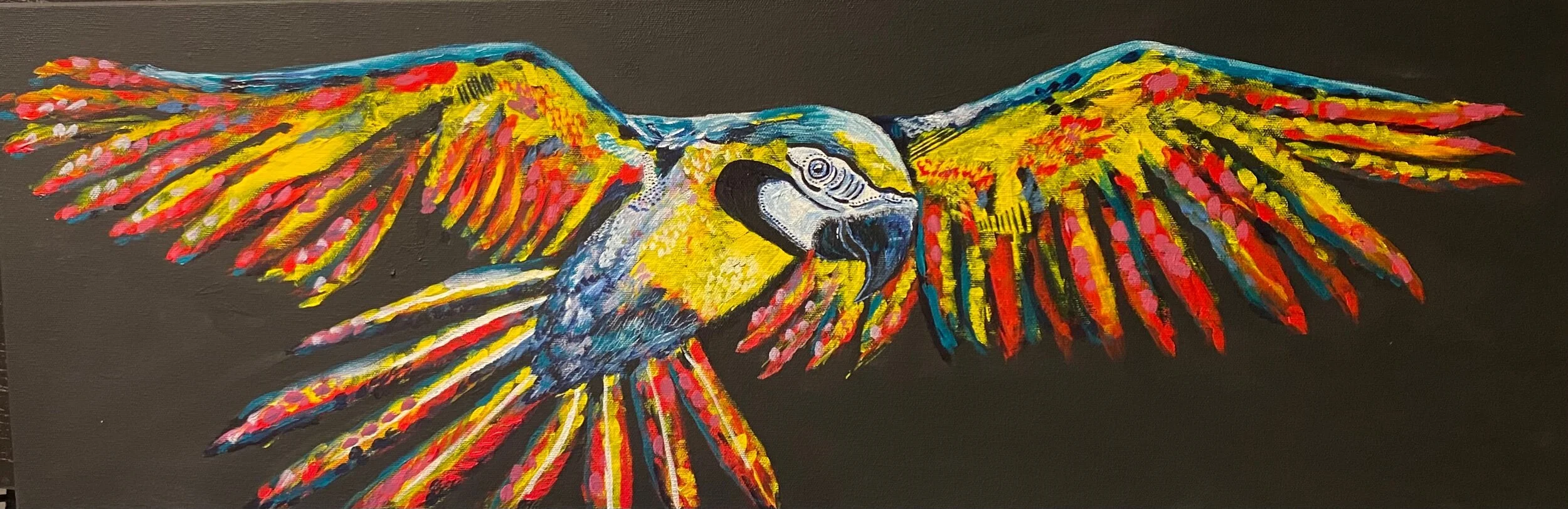 9AC4D370-4276-48A0-9AB3-C4B9CA9529A1