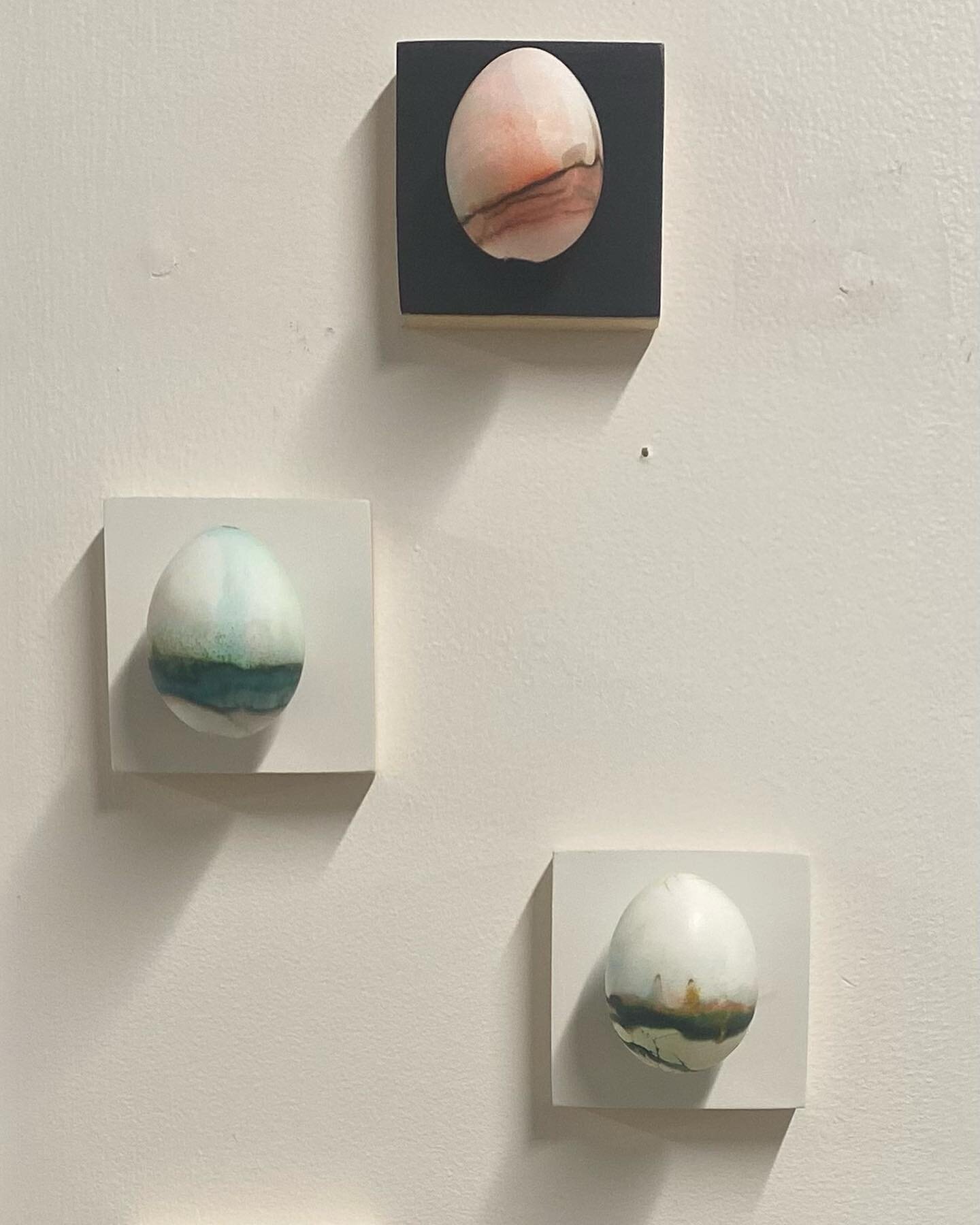 #eggscapes is an experimental art project where I stain empty eggs in various layers creating what looks like landscapes. 
The eggs are then carefully mounted on wooden panels.