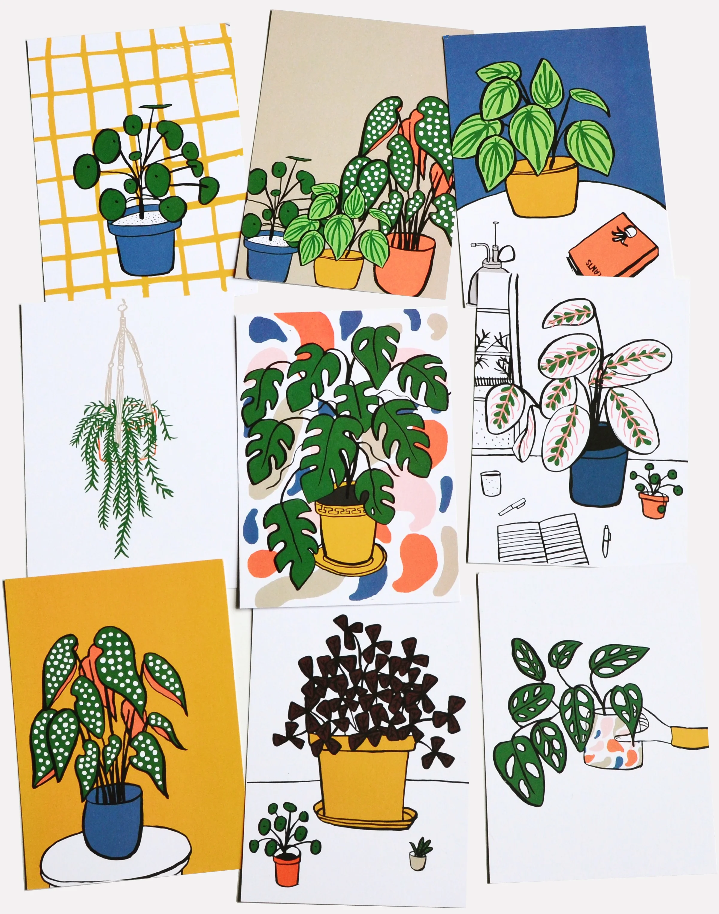 Donna Sarah x Pilea Plant Shop Houseplant Postcards Set.jpg