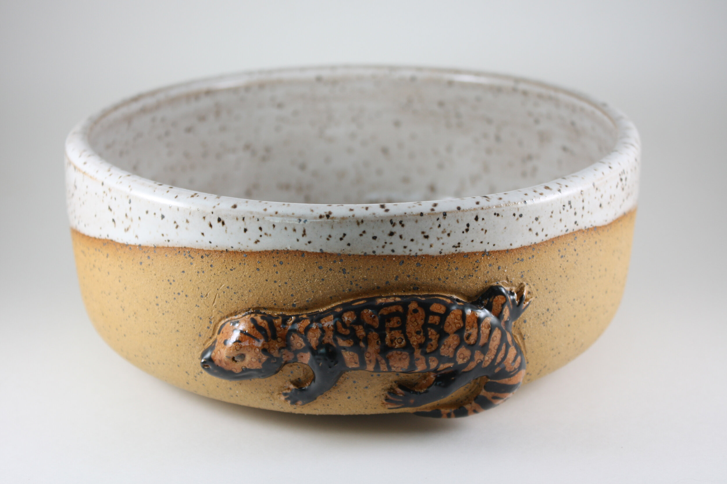 Gila Monster Planter Pot 2.jpg