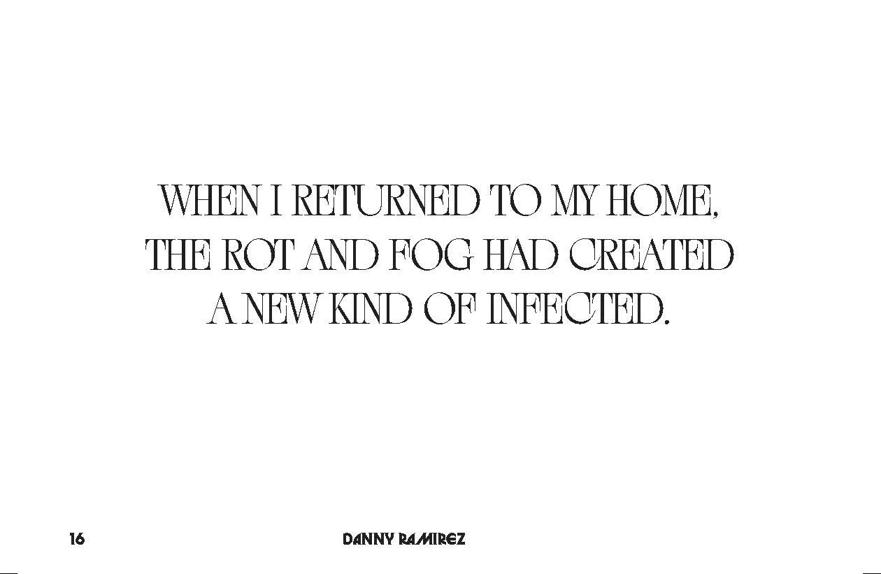 DannyRamierz_booklet_Nocon_Page_16.jpg