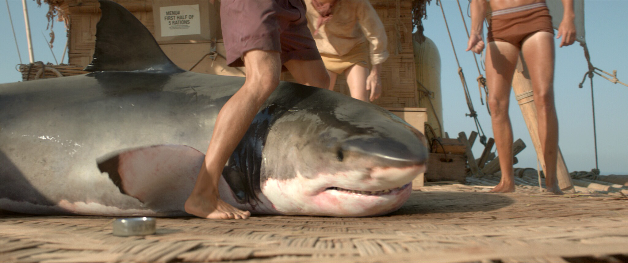 KonTiki_shark_placeholder.jpg