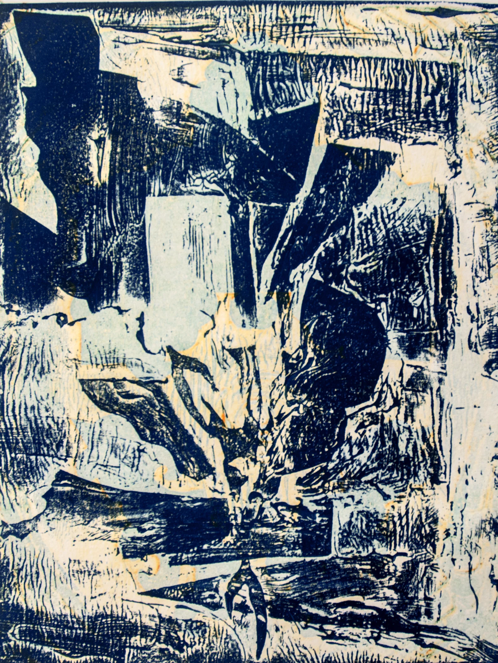 9844 collagraph