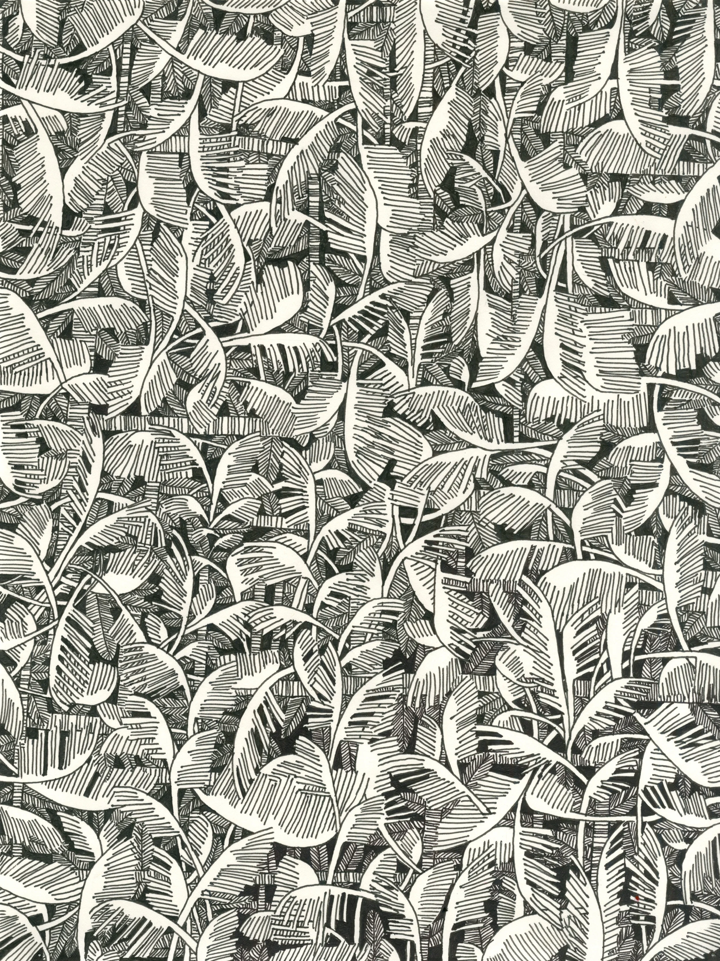 pen + ink
