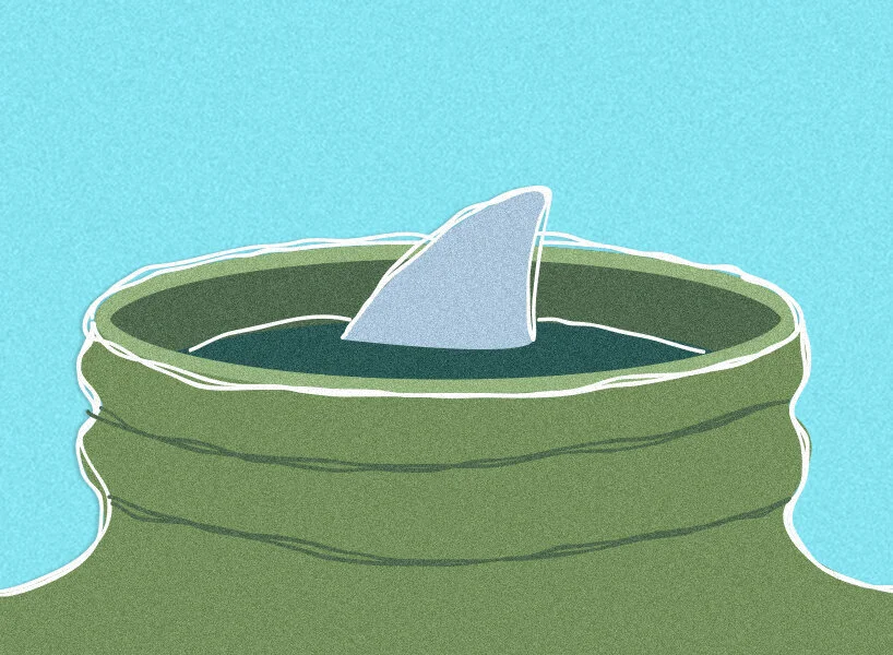 FYI, Your Fave Face Cream Might Contain Sharks