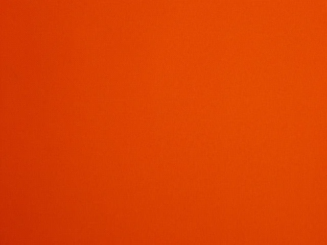 orange-9283_640.jpg