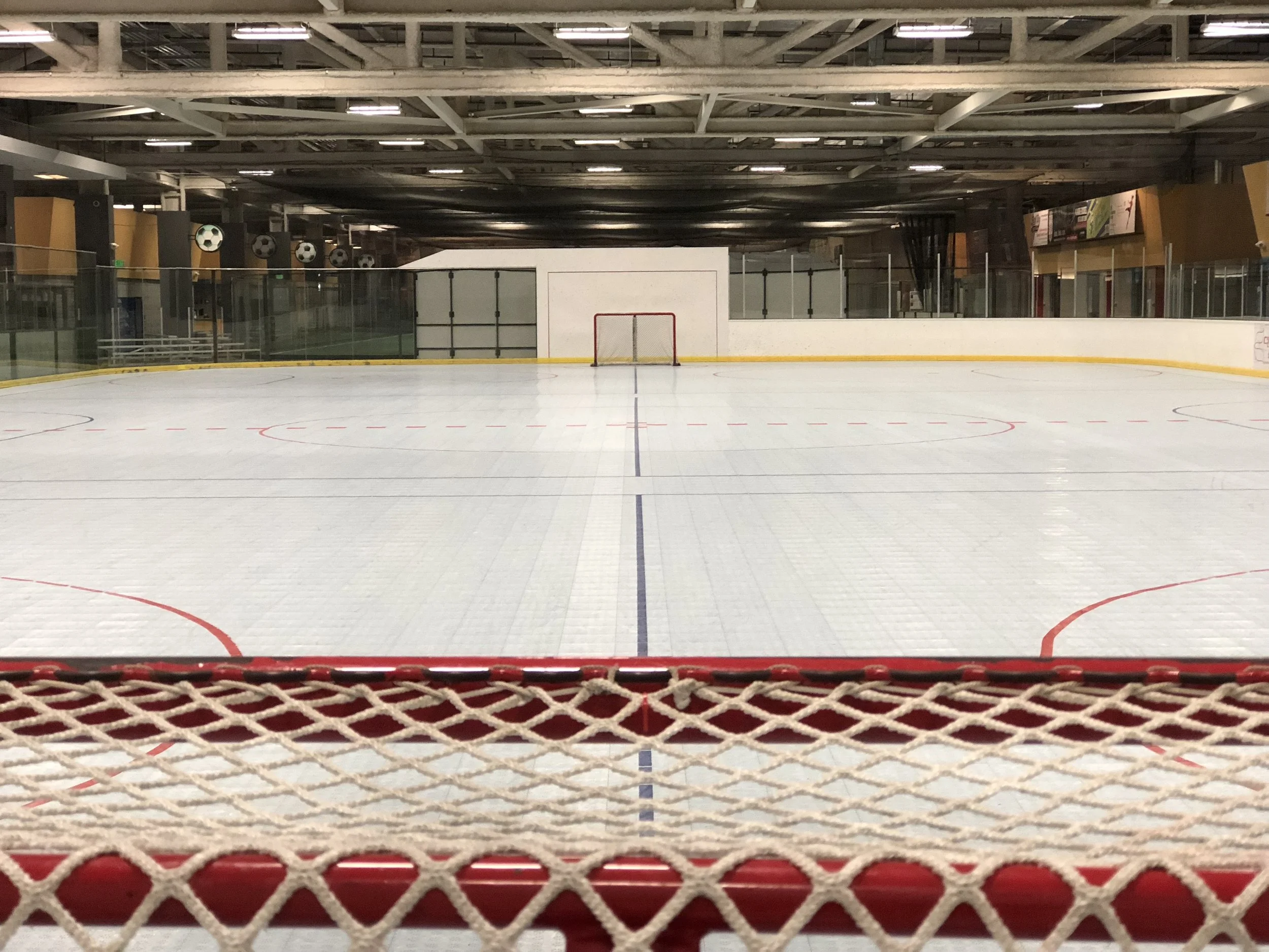 Rink2.jpg