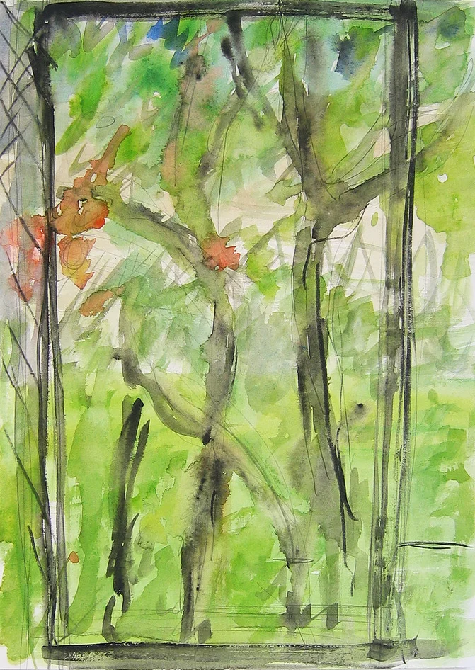Imo’s Garden 7