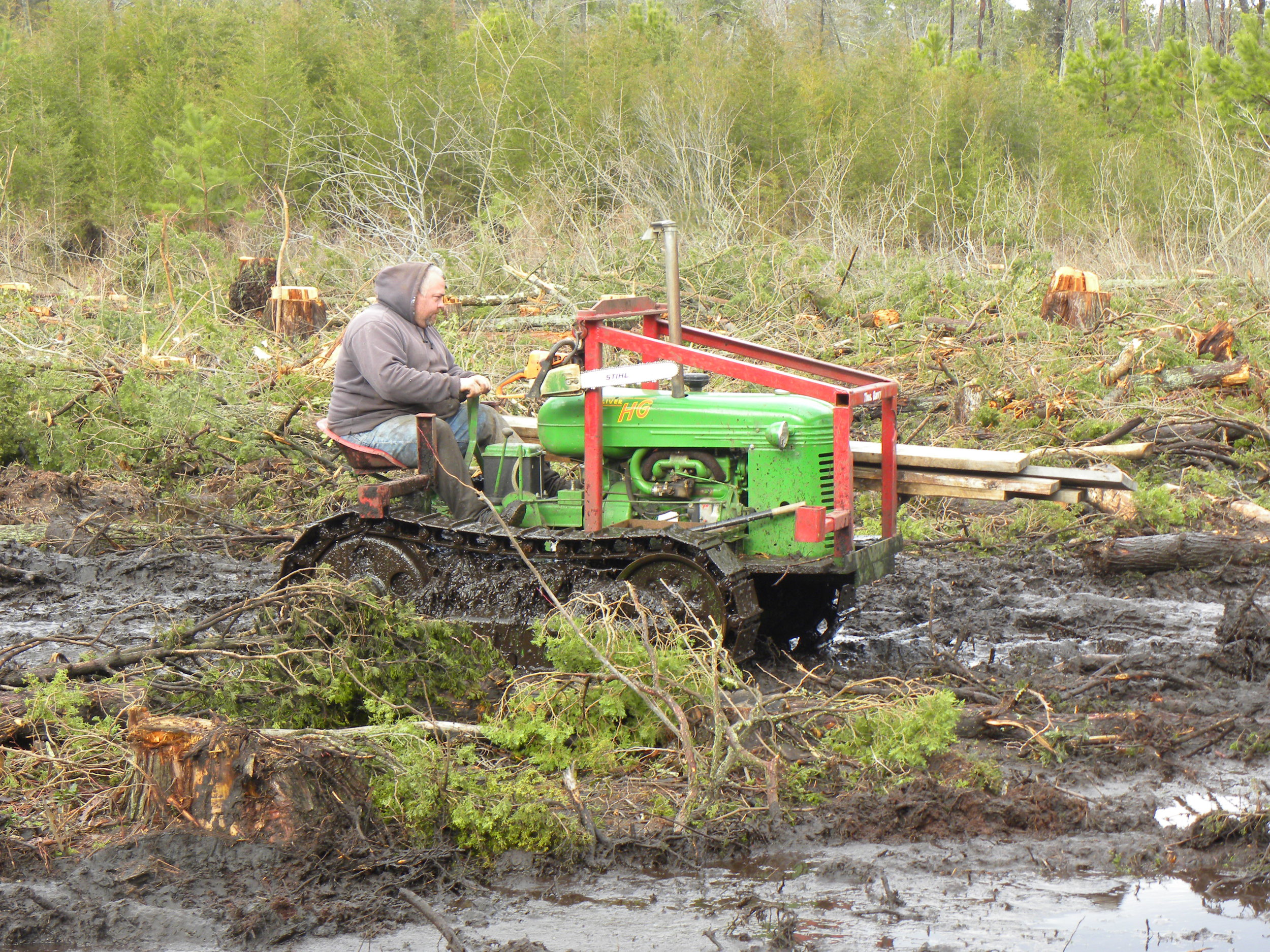 Cedar - lenape harvest 2012 atlantic county NJ 046.jpg