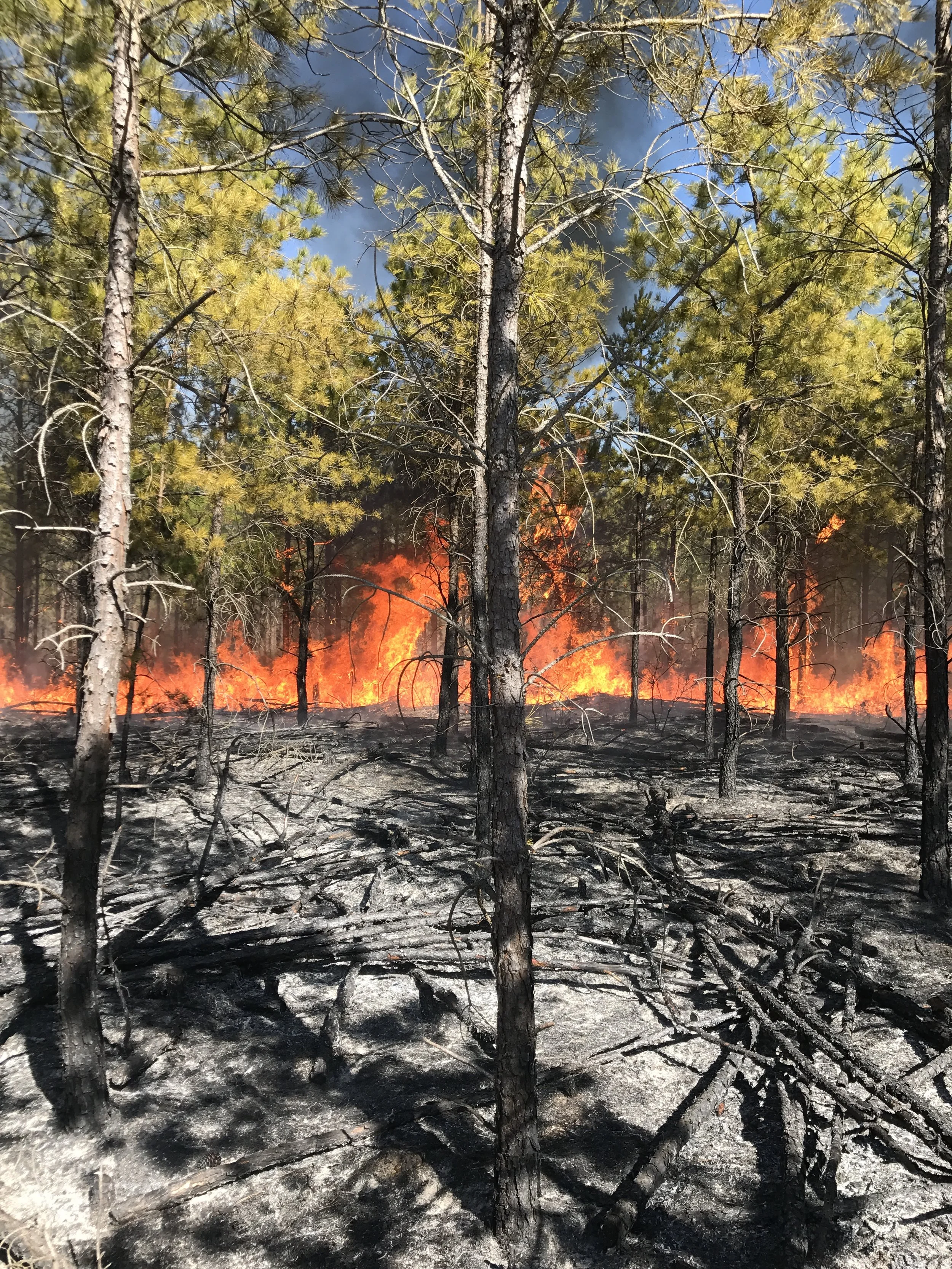 burning 2017 160 - Copy.JPG