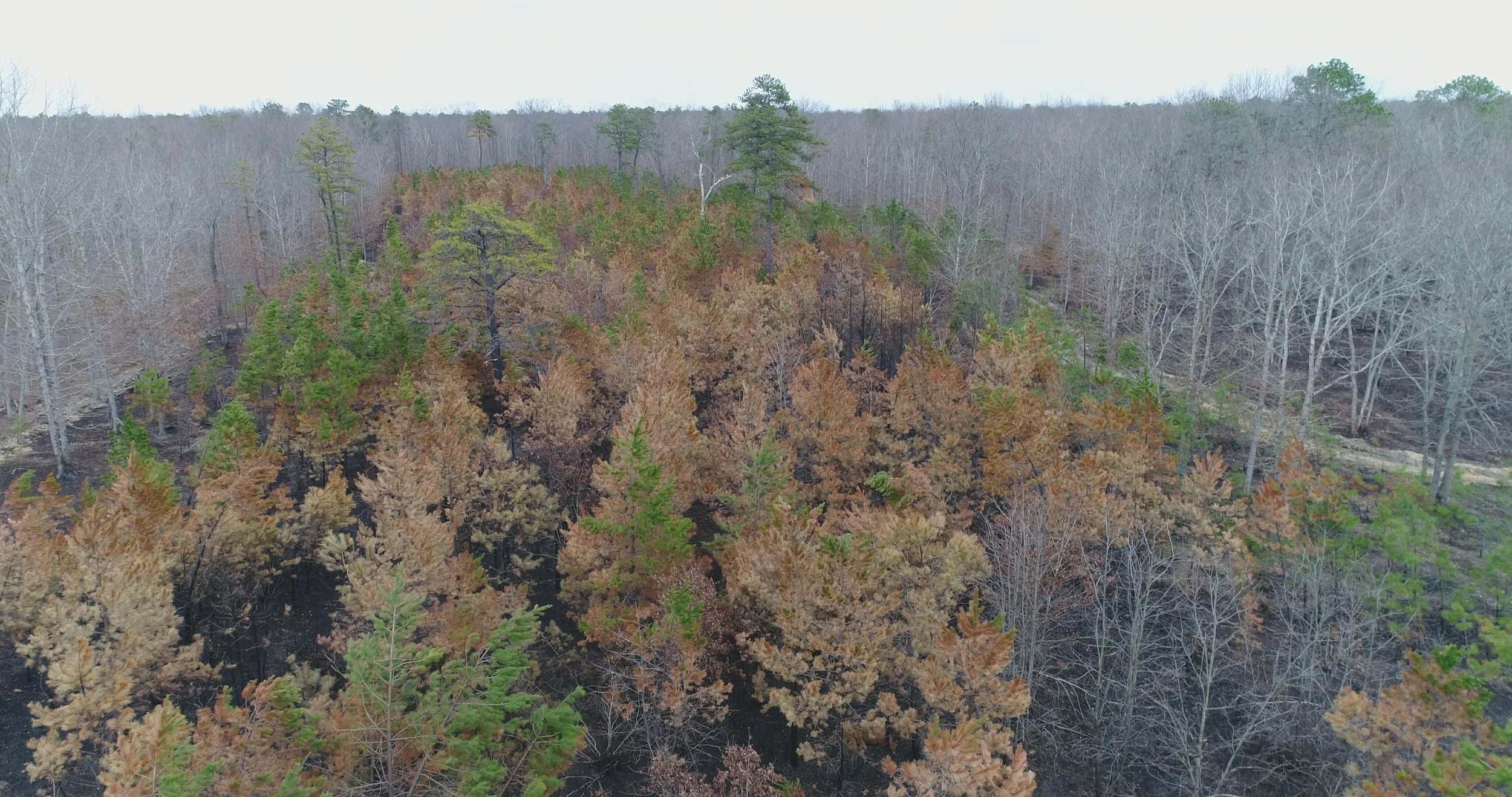 DJI_0036.JPG