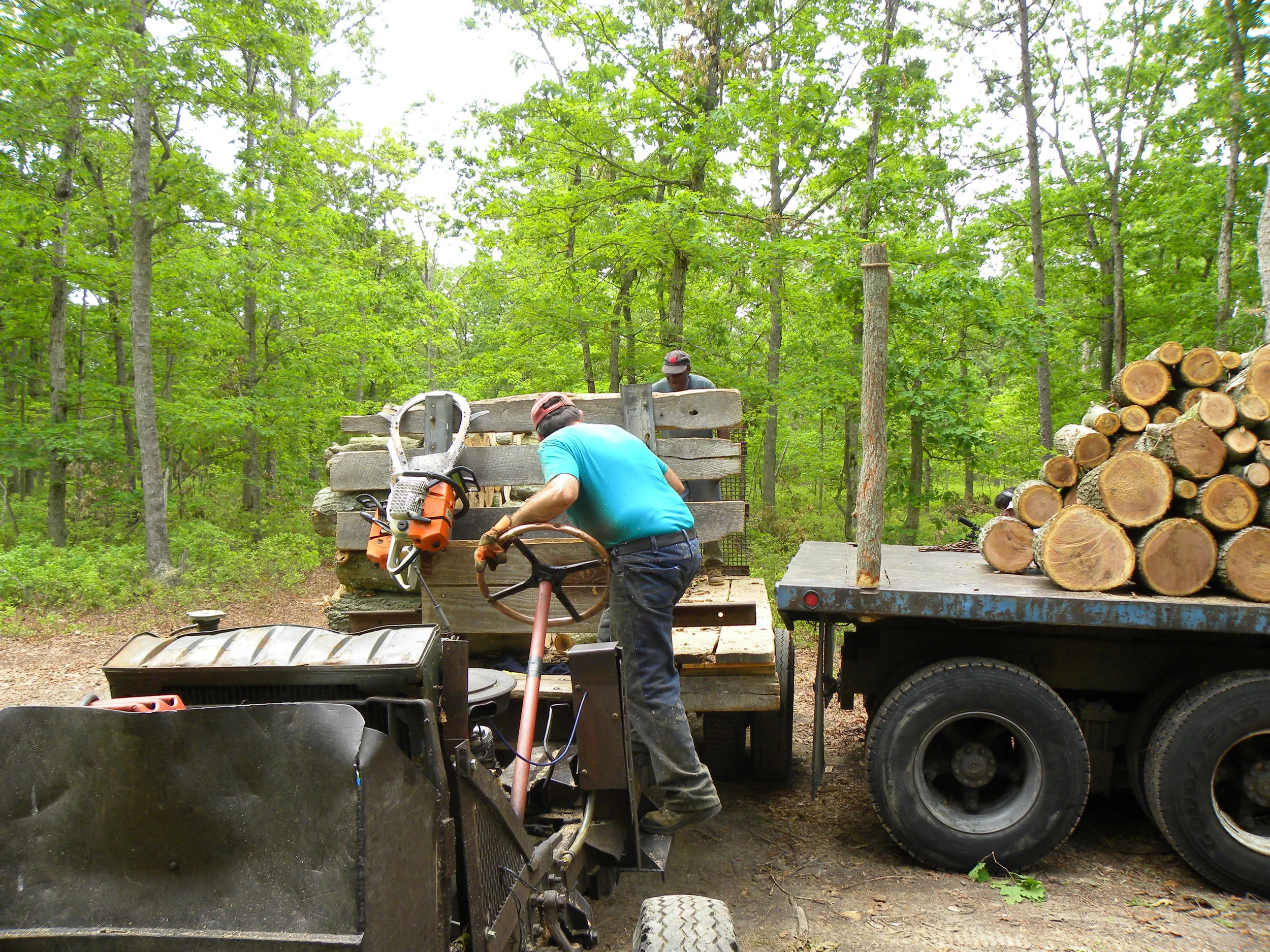 firewood-weber- steenland- 09 006.jpg