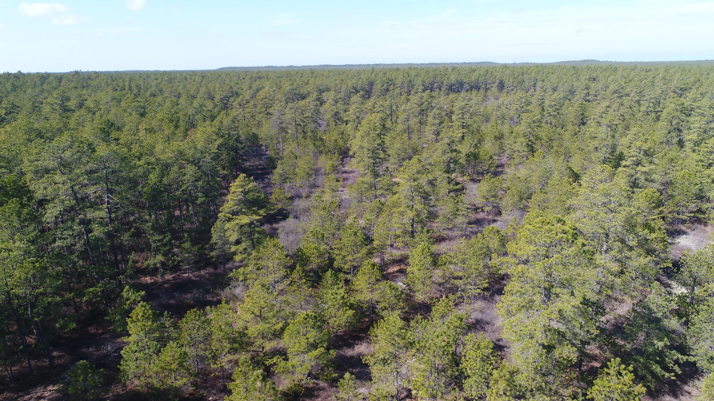 DJI_0046.JPG