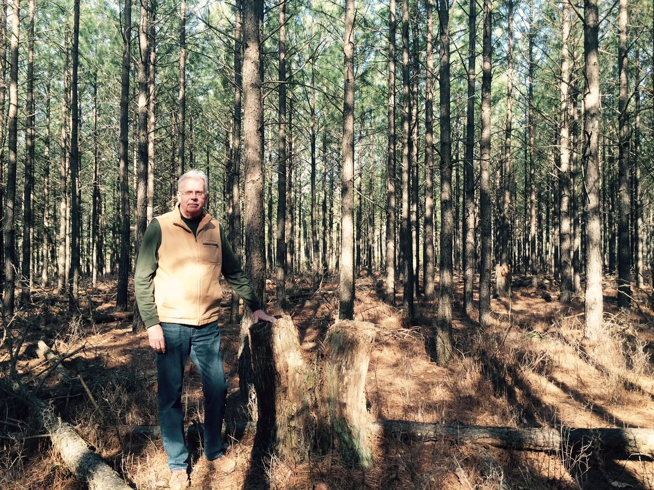 Pine valley march 2016.jpg