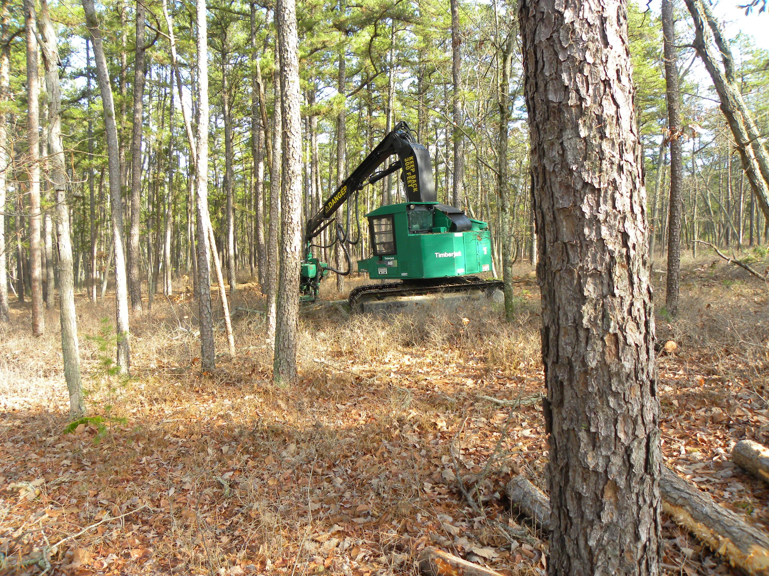 signs and pine cutts 020.JPG