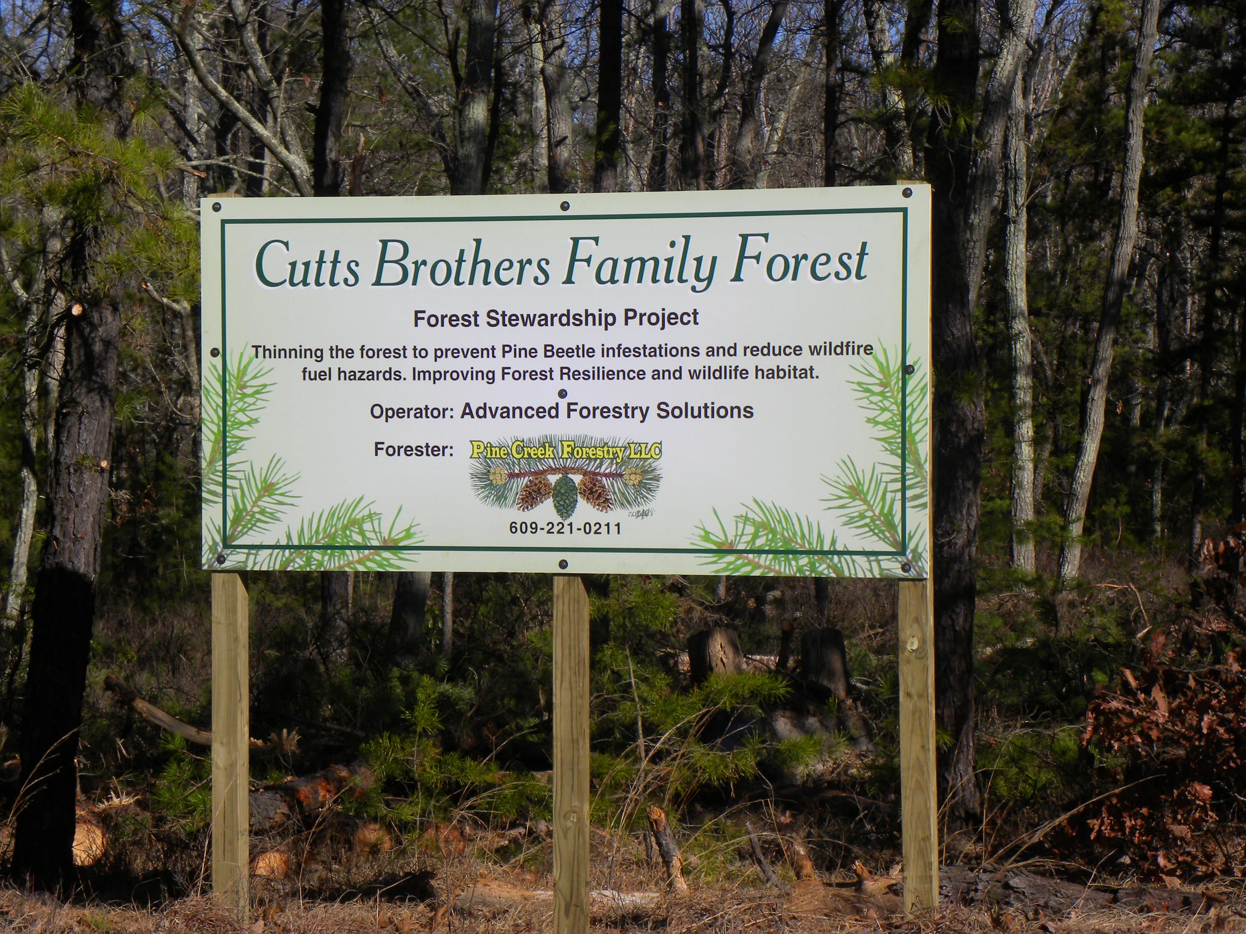 signs and pine cutts 026.JPG