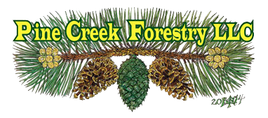 Pine Creek Forestry | Forestry Consultants | Conservation Managers | Forest Management | Conservation Specialists