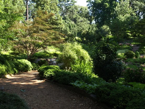 Family Forest Bathing at the National Arboretum 