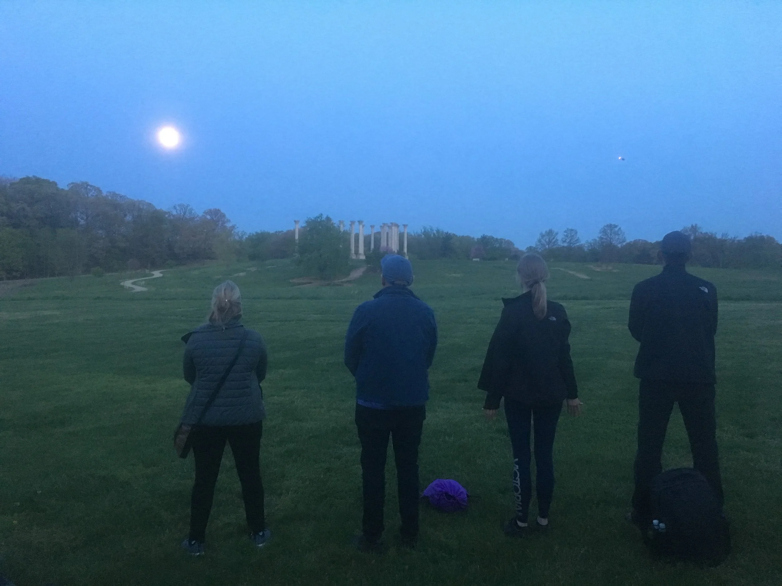Beaver Full Moon Forest Bathing 
