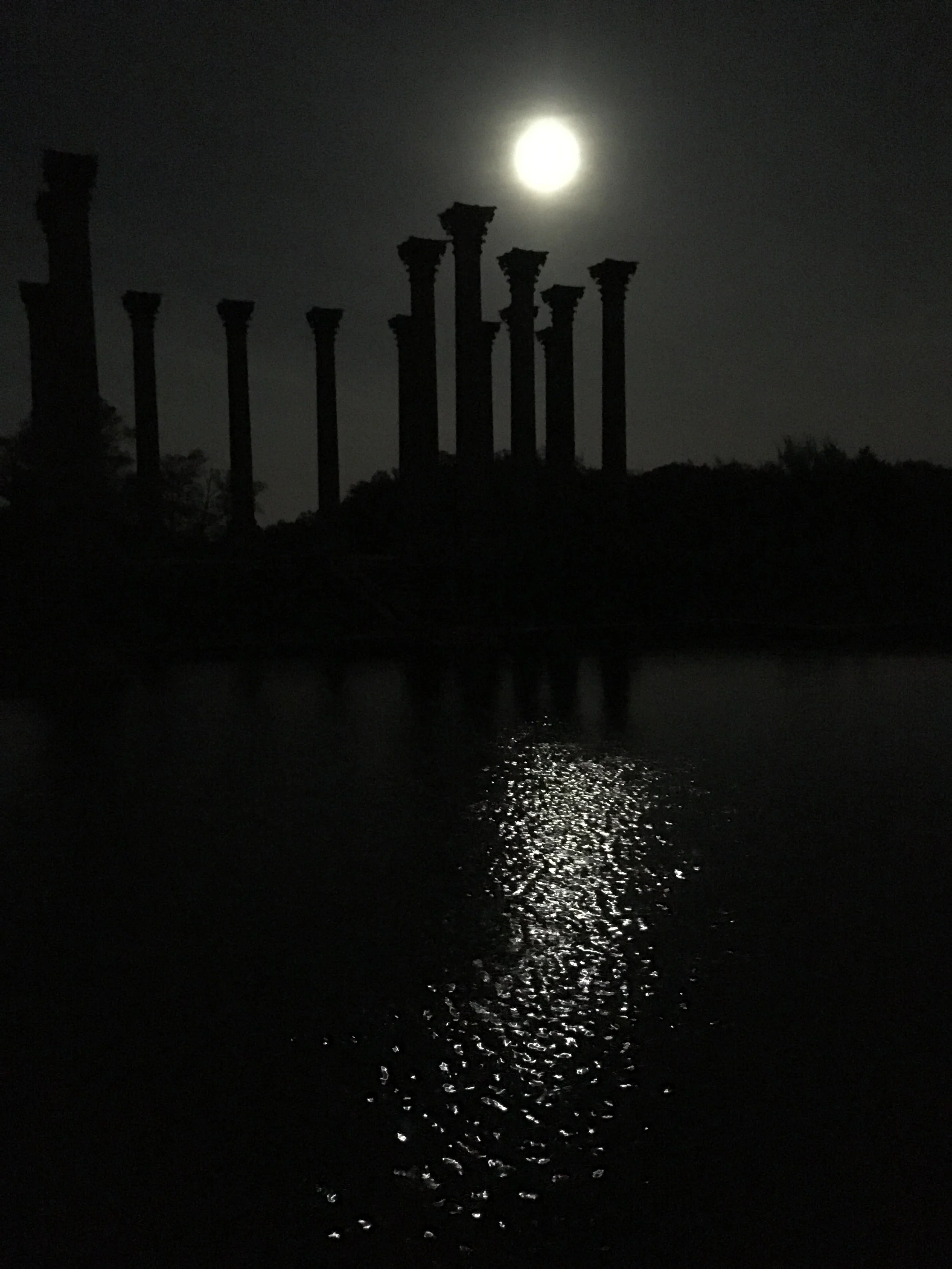 Beaver Full Moon Forest Bathing 