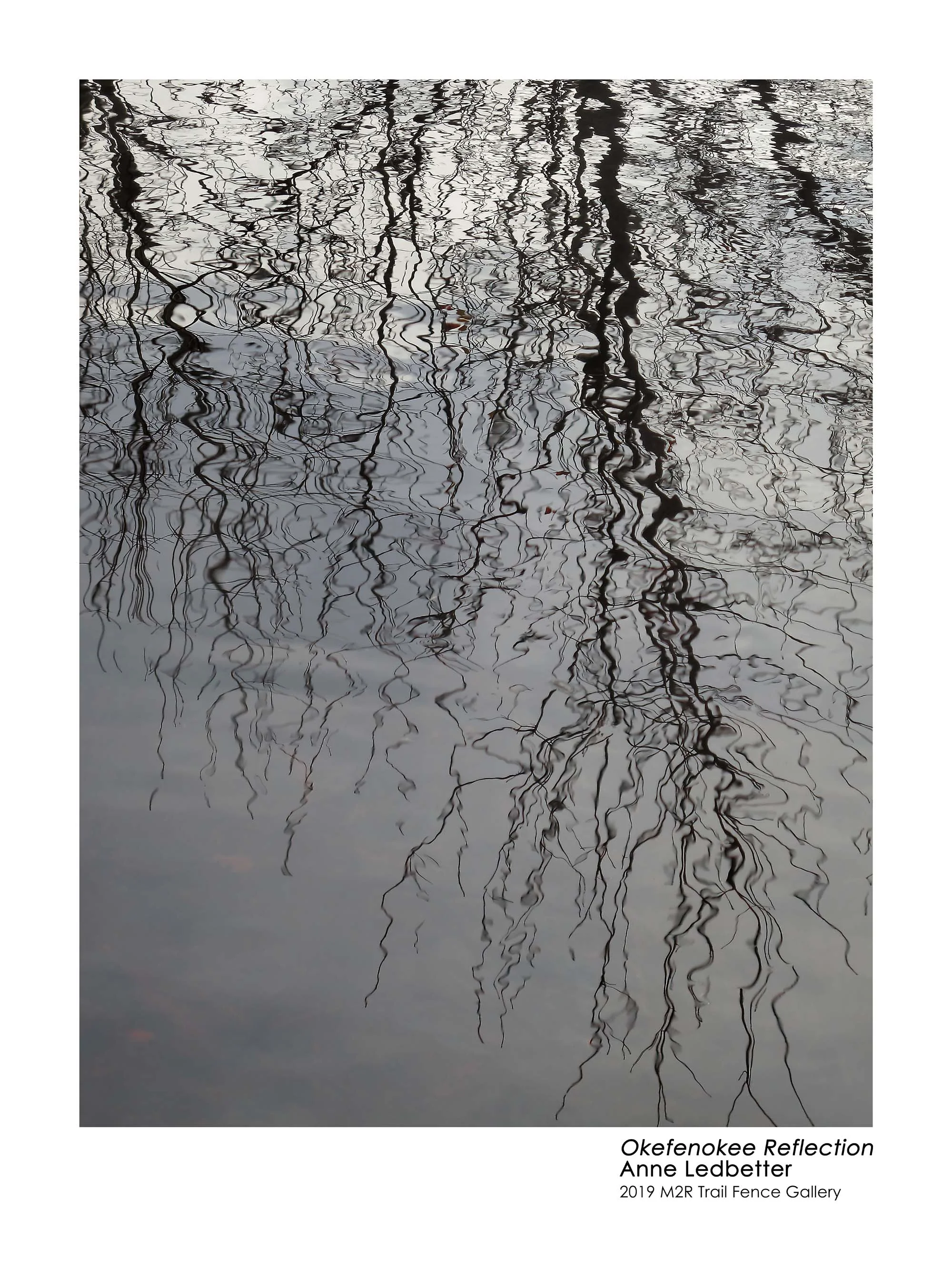 Anne_Ledbetter_OkefenokeeReflection - Anne Ledbetter.jpg