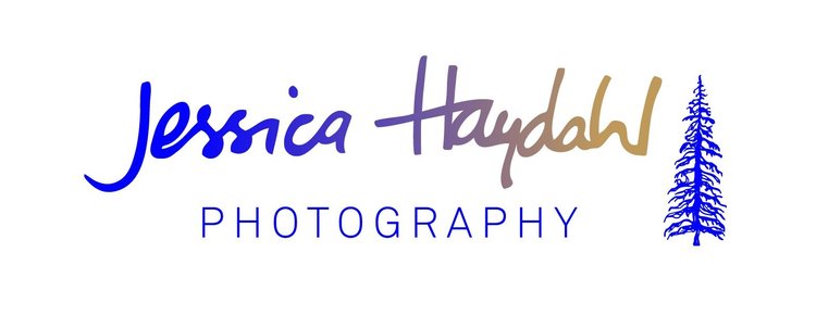 Jessica Haydahl Photography