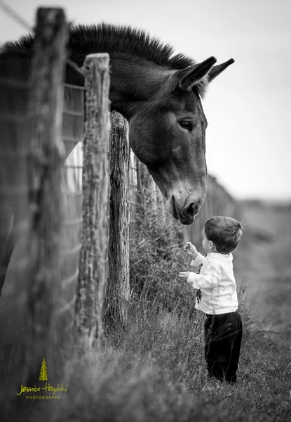festis_zach_texas_2015_2web