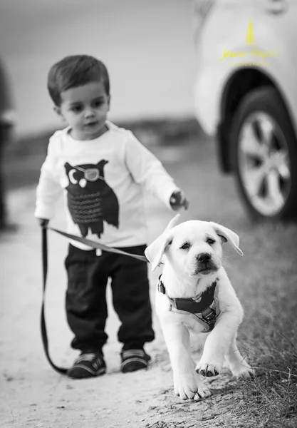 festis_zach_texas_2015_5web