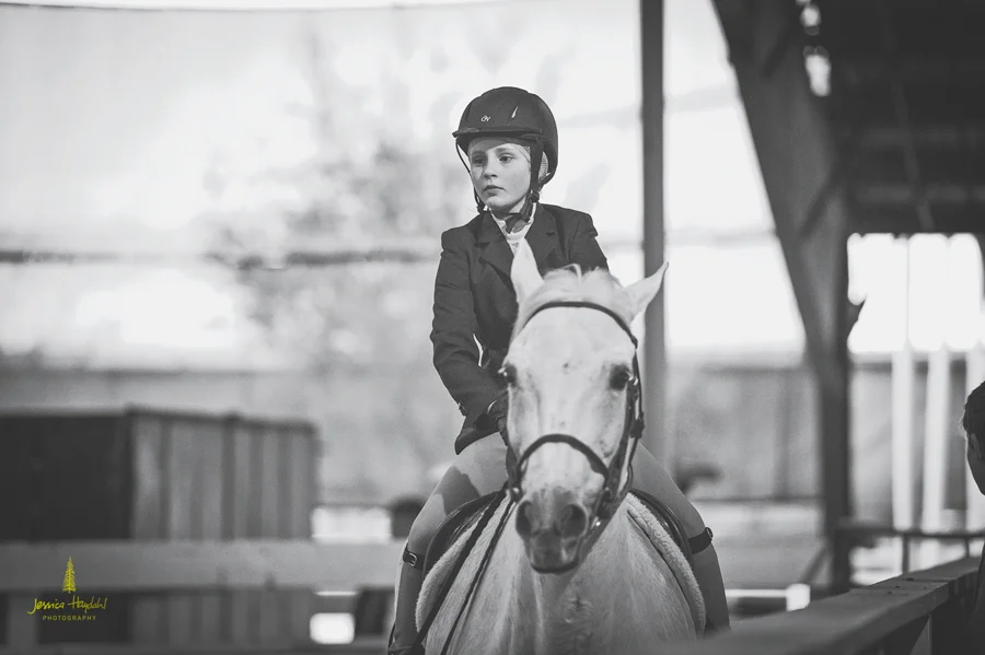 horse_jumping_2015_4web