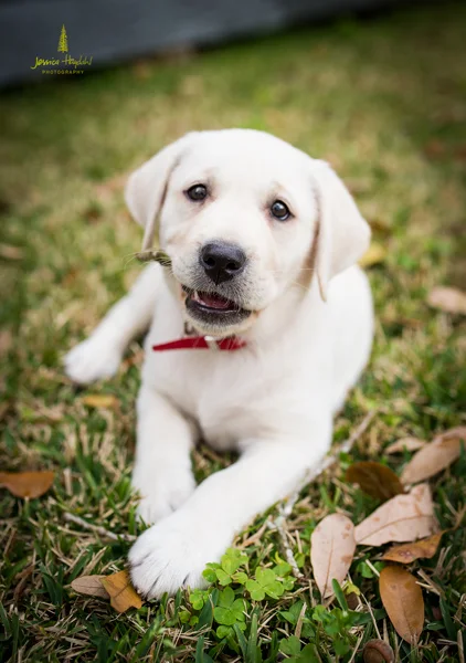 meeker_2015_3web