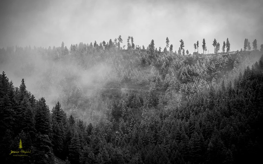 road_trip_texas_Montana_2015_1web