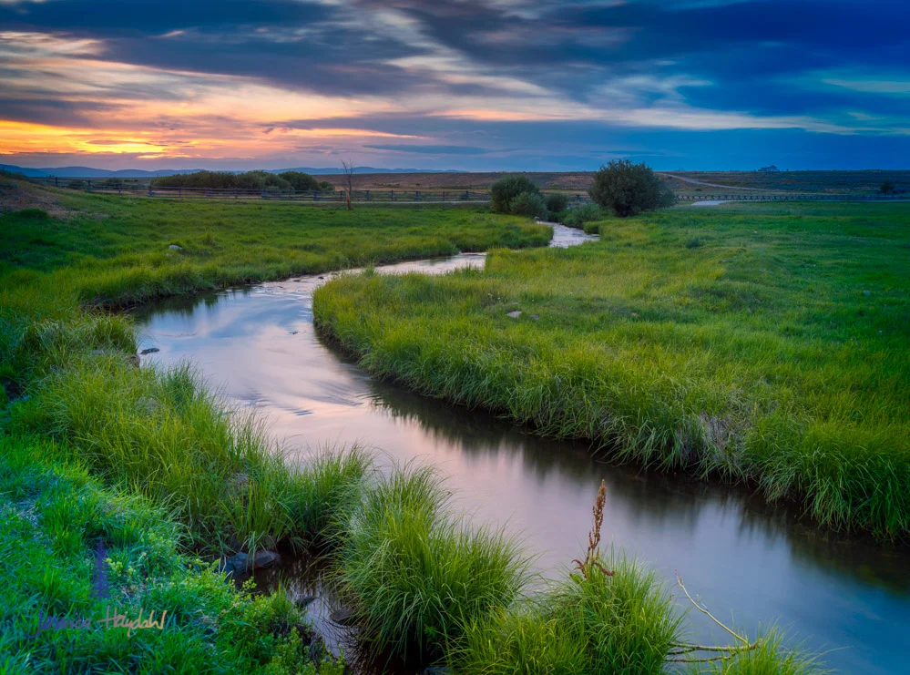 landscape_wisdom_july25th_2015_1