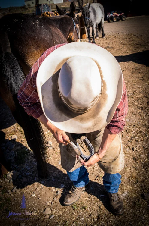 salmon_idaho_shoeing_2015_7