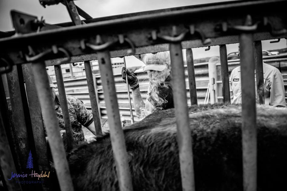 ranch_life_21