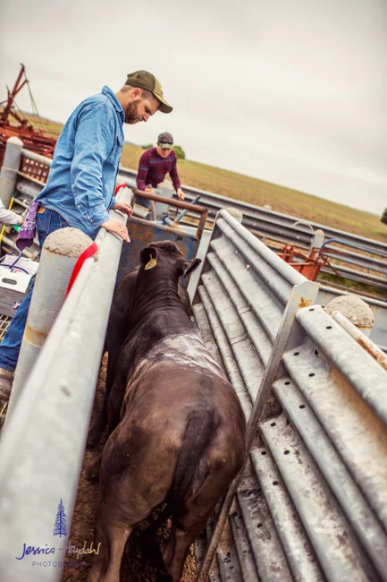 ranch_life_32