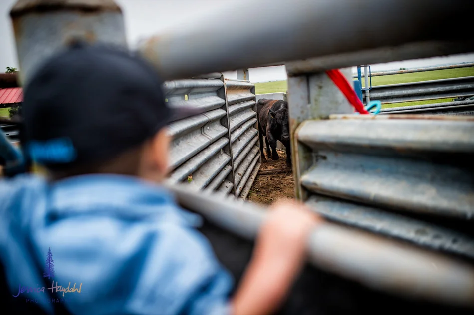 ranch_life_59