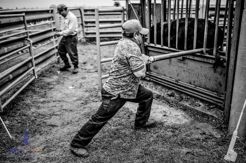 ranch_life_8
