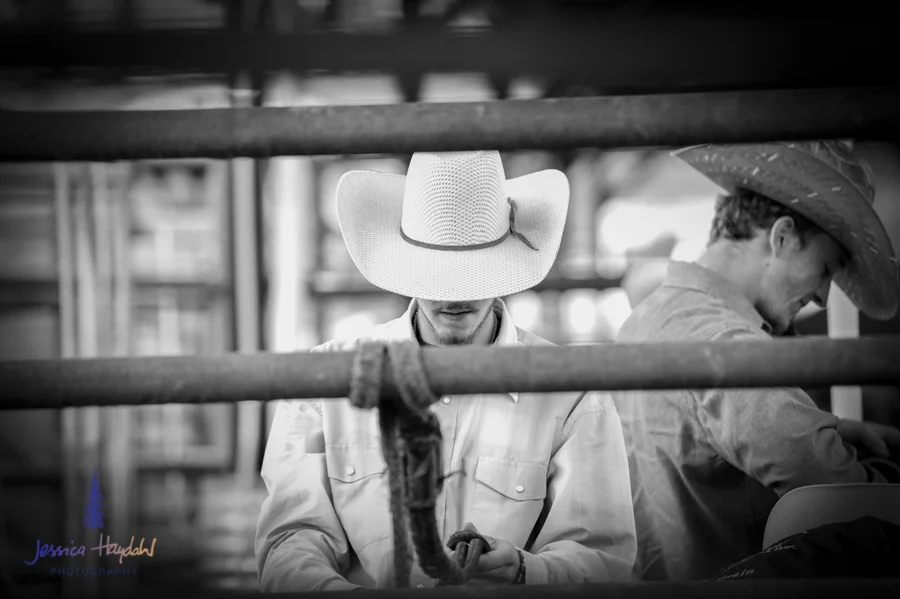Bullarama_Richardson_2016_web-1