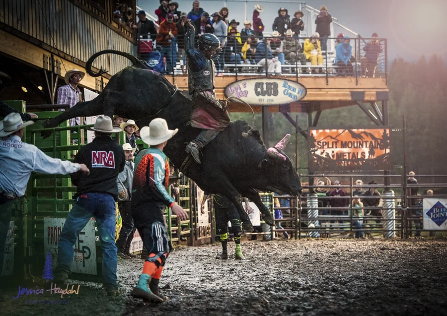 Bullarama_Richardson_2016_web-10