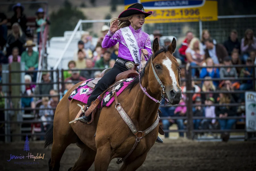 Bullarama_Richardson_2016_web-26