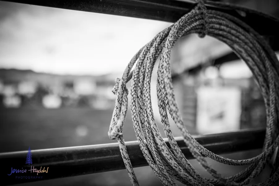 Bullarama_Richardson_2016_web-27